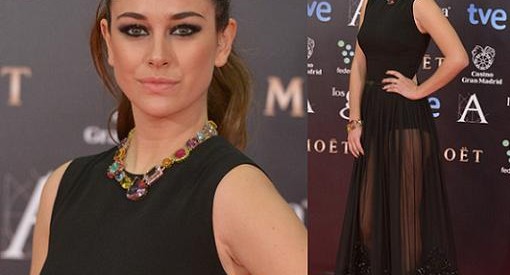 Los mejores looks y vestidos de los Premios Goya 2014: La alfombra roja con las famosas patrias más chic